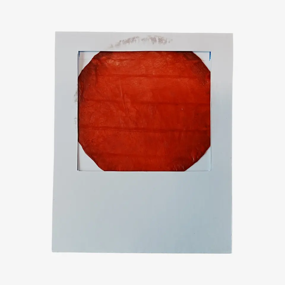 A bright red-orange dried sheet mounted in a white card frame.
