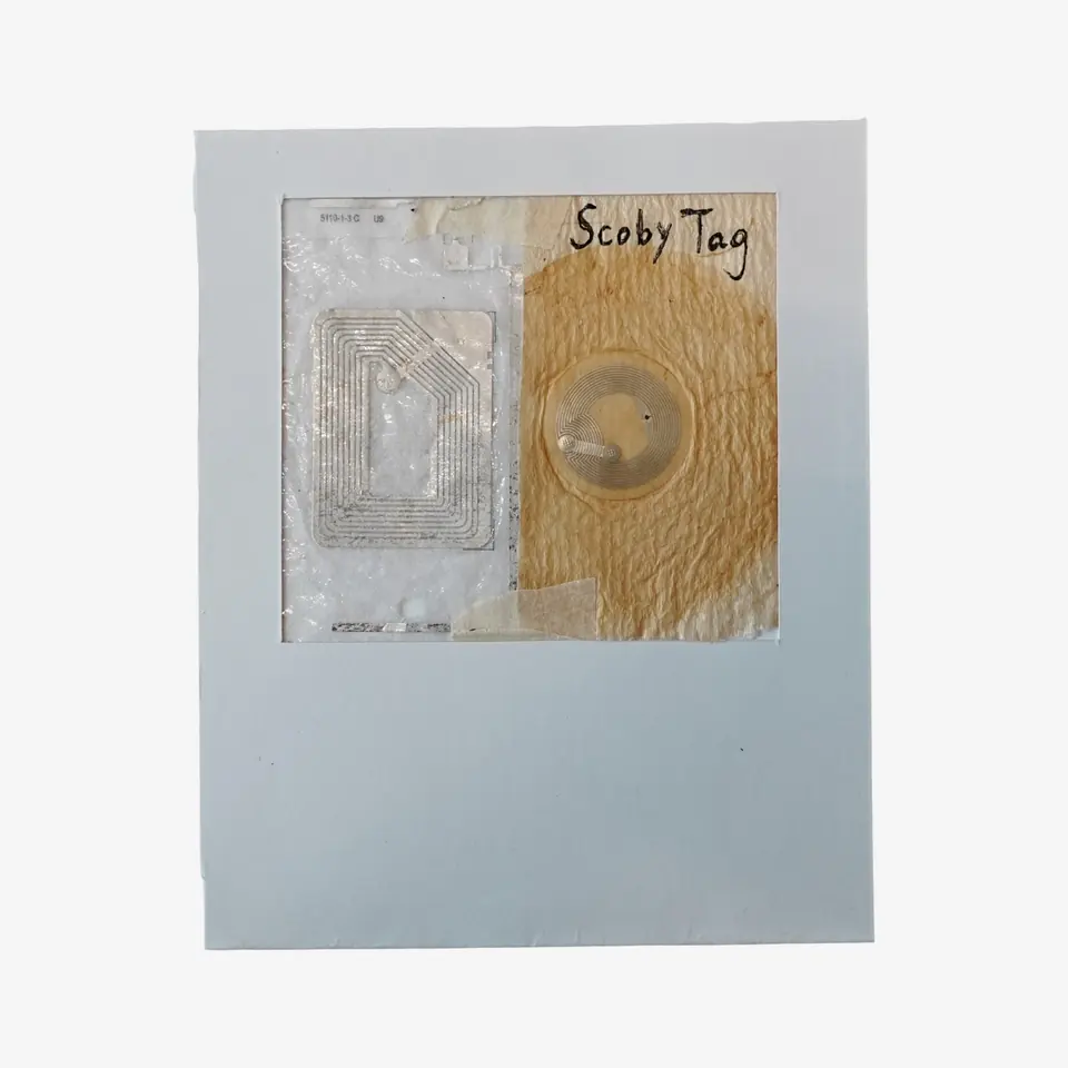 A clear plastic NFC tag beside an amber cellulose sheet with a tag inside, labelled Scoby Tag.