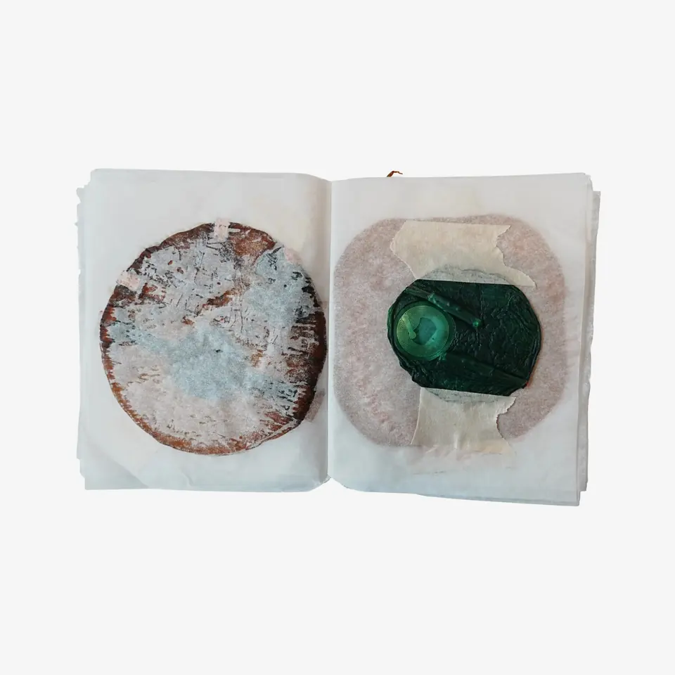 An open booklet with a brown speckled disc on the left page and a disc with a green centre on the right.