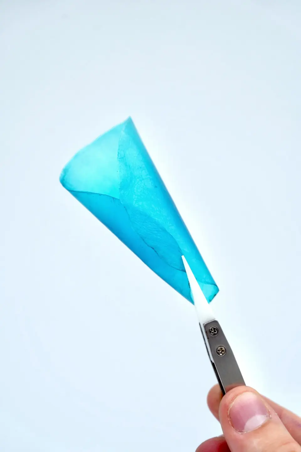 A thin blue cellulose sheet rolled into a cone, held with tweezers.