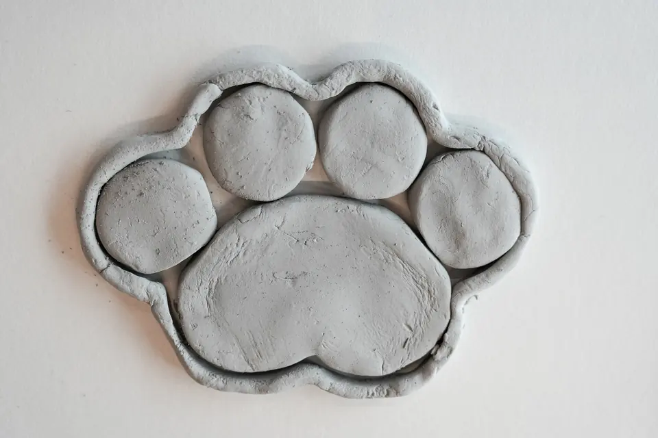 A clay plate shaped like a paw print, with five round compartments.
