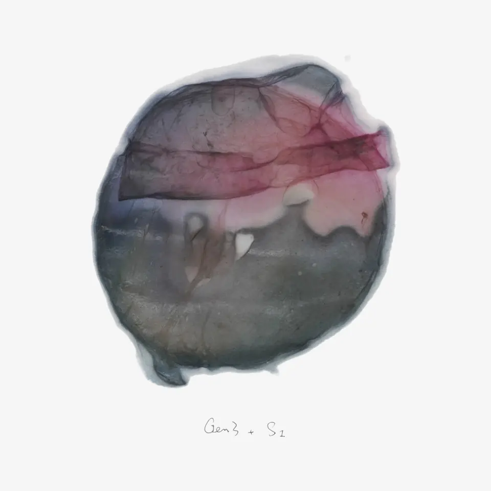 A round dried sheet clouded grey, violet and pink, with a pencilled label underneath.