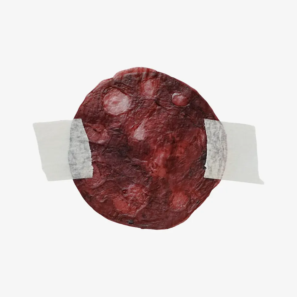 A dark wine-red dried disc with round imprints, taped down at both sides.