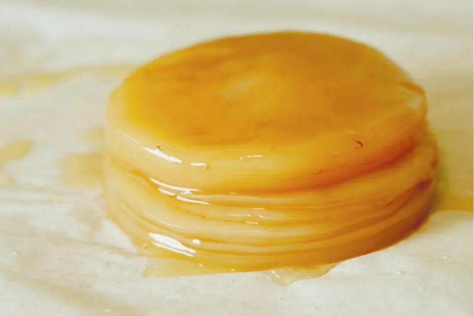 A wet, amber stack of kombucha SCOBY layers on parchment.